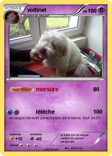 Pokemon voltinet