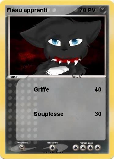 Pokemon Fléau apprenti