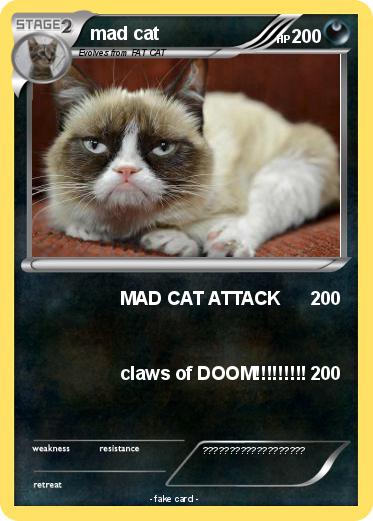 Pokemon mad cat
