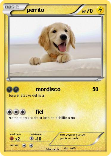 Pokemon perrito