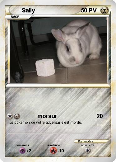 Pokemon Sally
