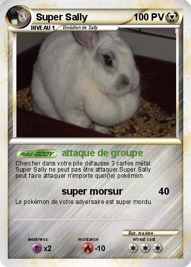 Pokemon Super Sally