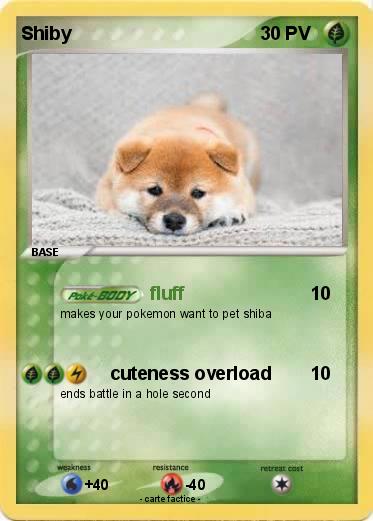 Pokemon Shiby