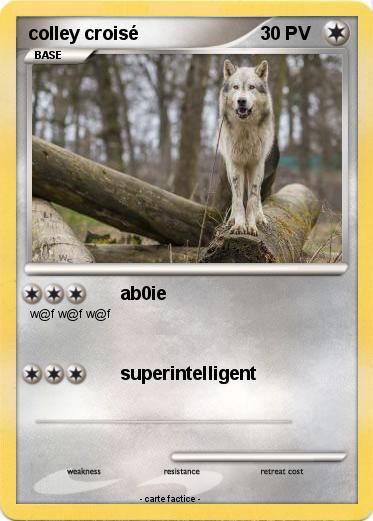 Pokemon colley croisé