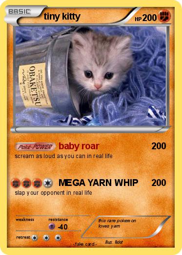 Pokemon tiny kitty