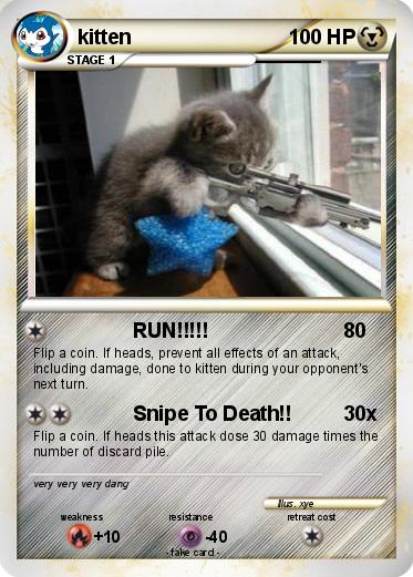Pokemon kitten