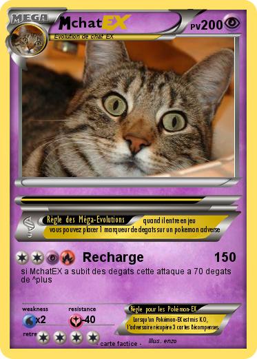 Pokemon chat