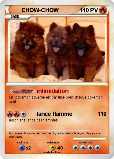 Pokemon CHOW-CHOW