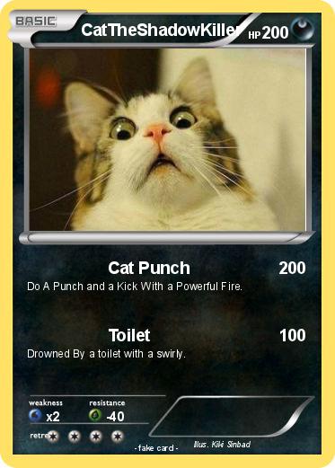 Pokemon CatTheShadowKiller