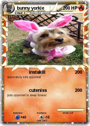 Pokemon bunny yorkie