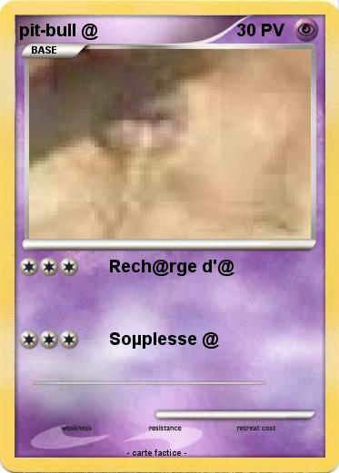 Pokemon pit-bull @