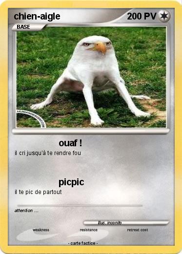Pokemon chien-aigle