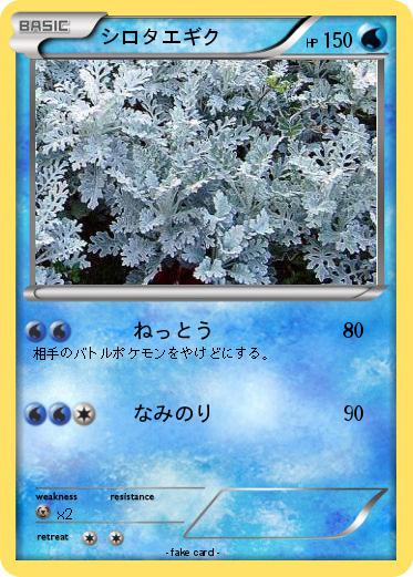 Pokemon シロタエギク