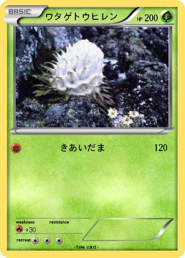 Pokemon ワタゲトウヒレン