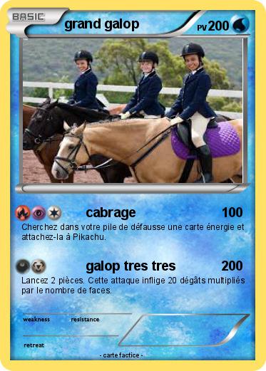 Pokemon grand galop
