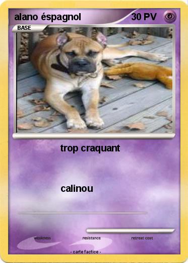 Pokemon alano éspagnol