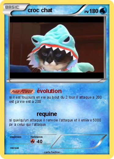Pokemon croc chat