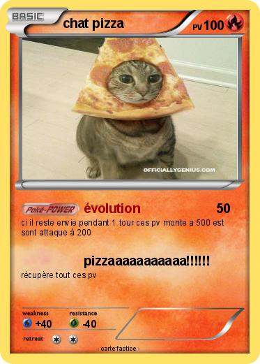 Pokemon chat pizza