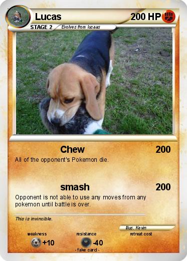 Pokemon Lucas