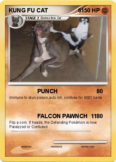 Pokemon KUNG FU CAT                   6