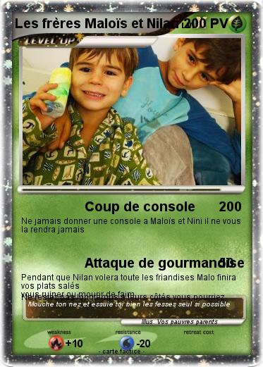 Pokemon Les frères Maloïs et Nilan