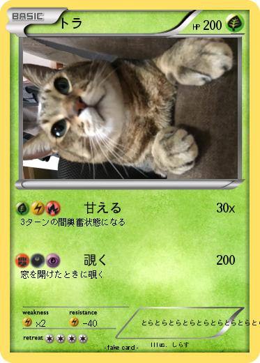 Pokemon トラ