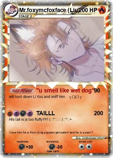 Pokemon Mr.foxymcfoxface (Liu)
