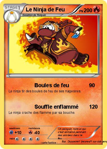 Pokemon Le Ninja de Feu