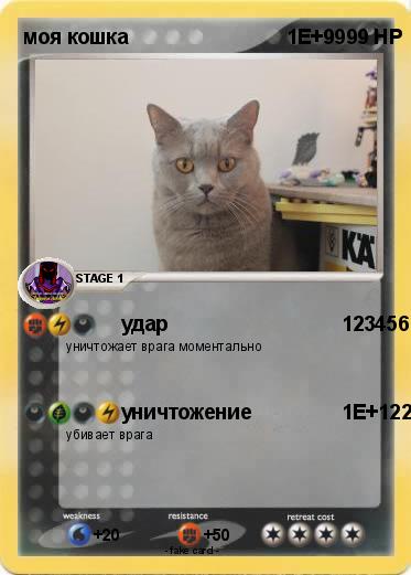 Pokemon моя кошка