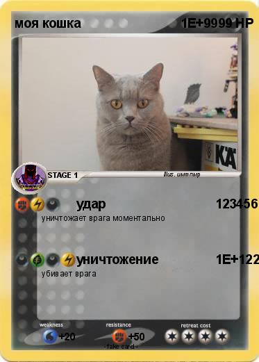 Pokemon моя кошка
