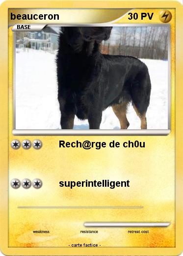Pokemon beauceron