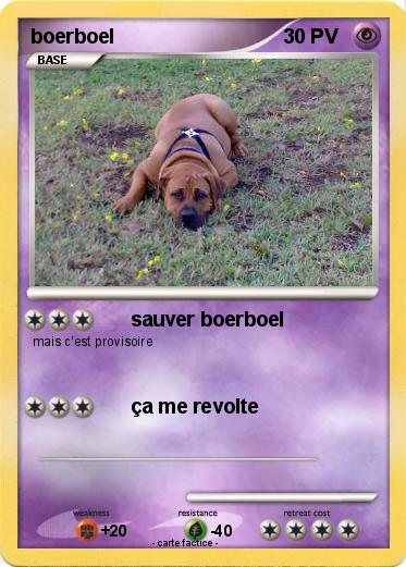 Pokemon boerboel
