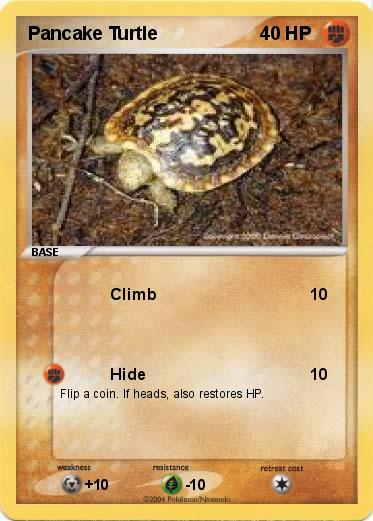Pokemon Pancake Turtle
