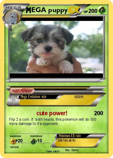 Pokemon EGA puppy