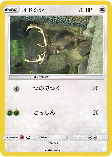 Pokemon オドシシ