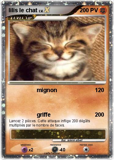 Pokemon lilis le chat