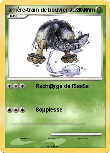 Pokemon arrière-train de bouvier australien