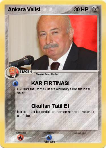Pokemon Ankara Valisi