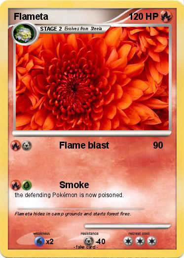 Pokemon Flameta
