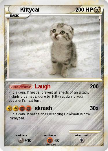 Pokemon Kittycat