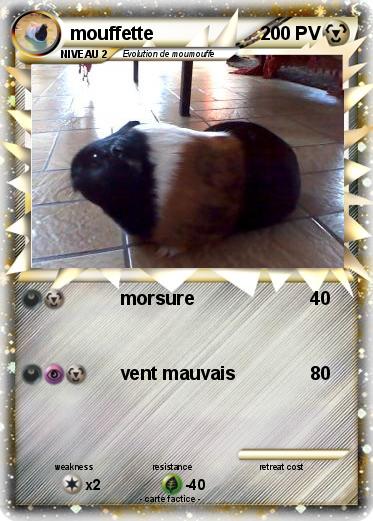 Pokemon mouffette