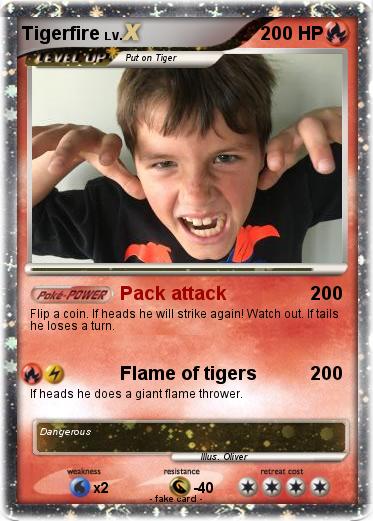 Pokemon Tigerfire