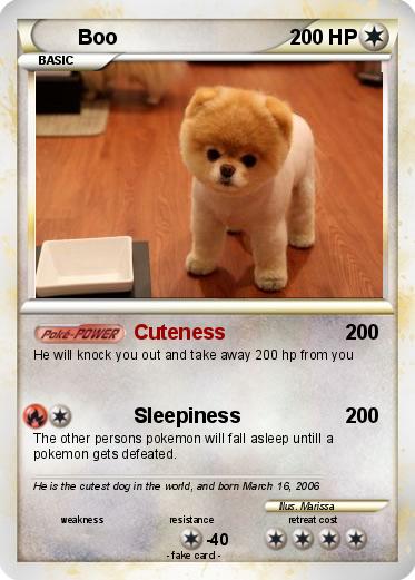 Pokemon Boo