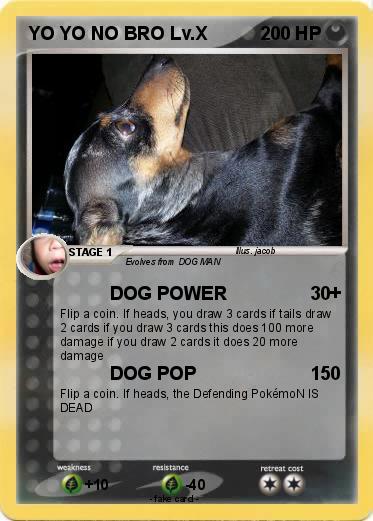 Pokemon YO YO NO BRO Lv.X