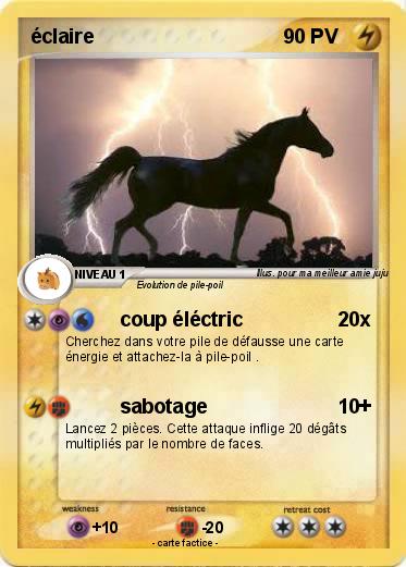 Pokemon éclaire
