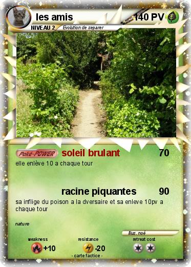 Pokemon les amis