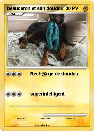 Pokemon beauceron et s0n doudou