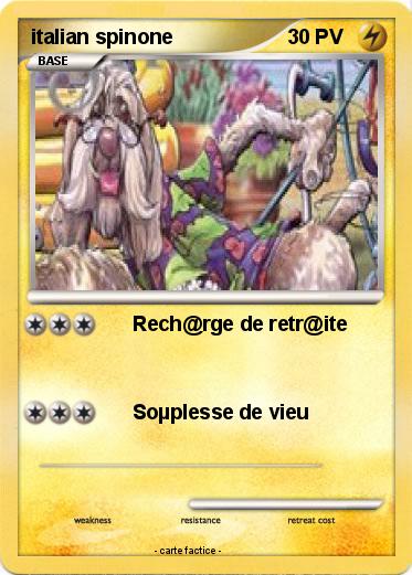 Pokemon italian spinone