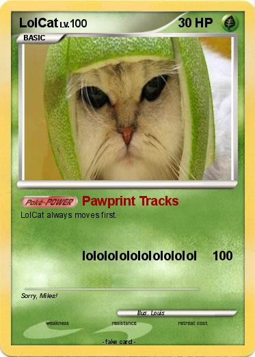 Pokemon LolCat