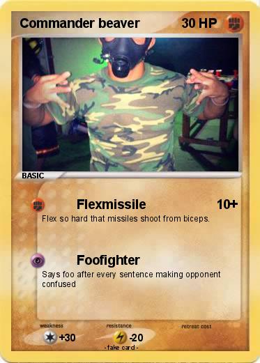 Pokemon Commander beaver